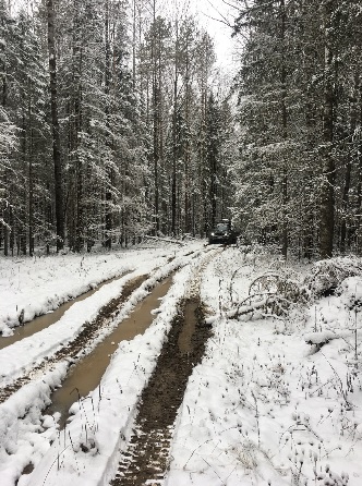 Воломы. Участок маршрута Воломы. Участок маршрута